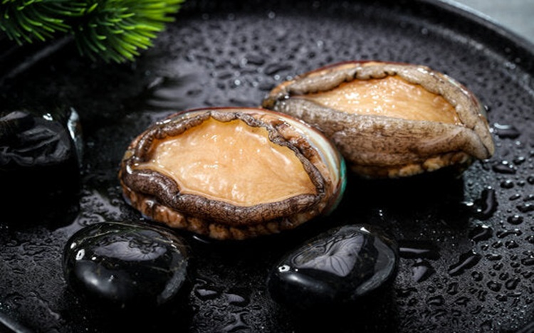Live Abalone